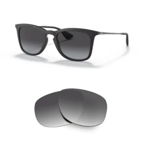 Verres Ray-Ban 4221 Compatible