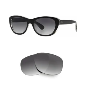 Verres Ray-Ban 4227 Compatible