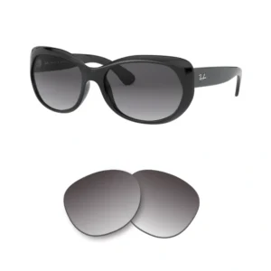 Verres Compatible Ray-Ban 4325