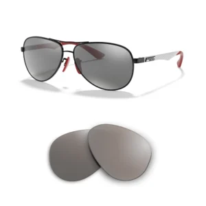 Verres Compatible Ray-Ban 8313M