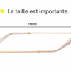Branches Compatibles Ray-Ban 3447