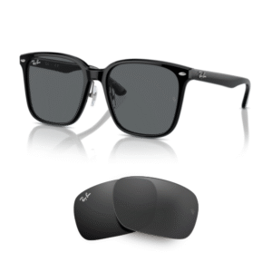 Verres Ray-Ban 2206D Originaux