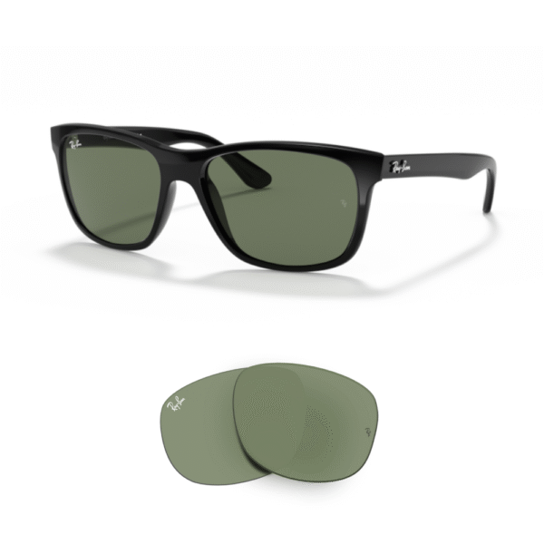 Verres Ray-Ban 4181 Originaux