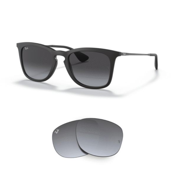 Verres Ray-Ban 4221 Originaux