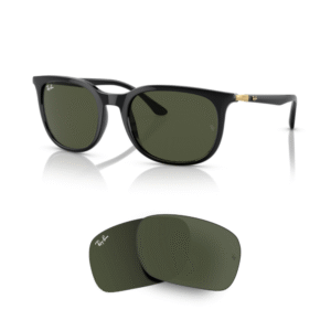 Verres Ray-Ban 4386 Originaux