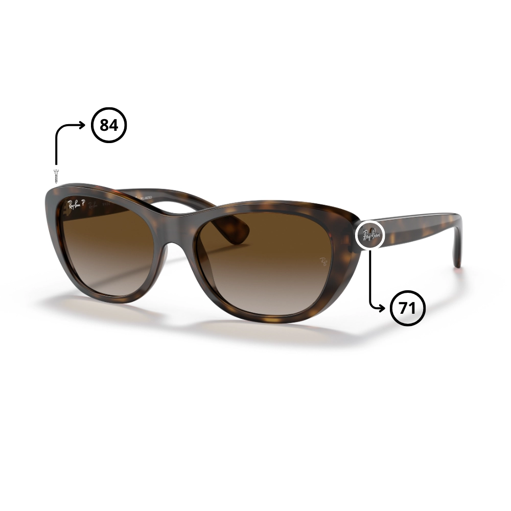 Pièces Rechange Ray-Ban 4227 Originaux
