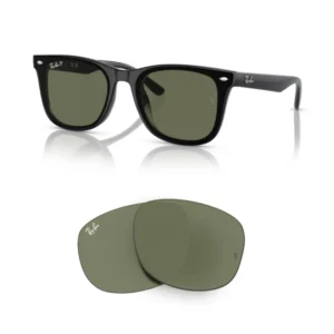 Verres Ray-Ban 4420 Originaux