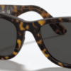 b1-dark-grey