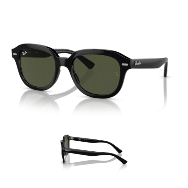 Branches Ray-Ban 4398 Originales