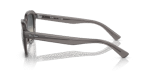 Branches originales Ray-Ban RB4398, couleur 6675 · Opal gris foncé