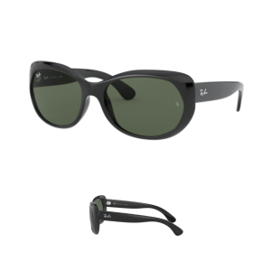 Branches Ray-Ban 4325 Originaux