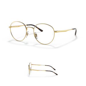 Branches Ray-Ban vue 3681V Originaux