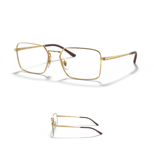 Branches Ray-Ban vue 6440 Originaux