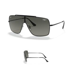 Branches Ray-Ban 3697 WINGS II Originaux