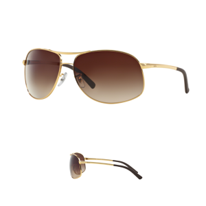 Branches-Ray-Ban 3387 Originaux