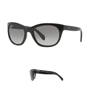 Branches Ray-Ban 4216 Originaux