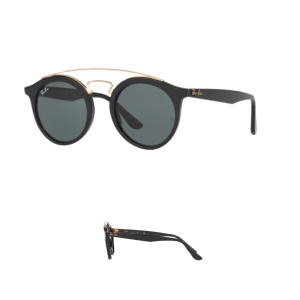 Branches Ray-Ban 4256 Originaux