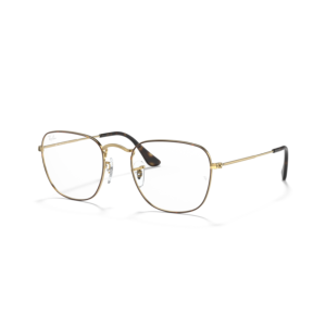 Ray-Ban RX3857V FRANK