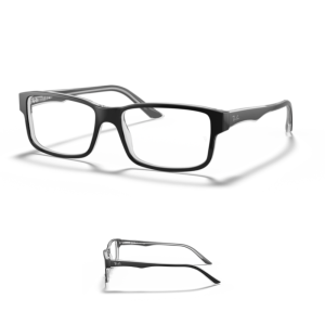 Branches Ray-Ban vue 5245 Originaux