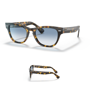 Branches Ray-Ban 2201 Laramie Originaux