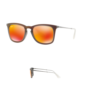 Branches Ray-Ban 4221 Originaux
