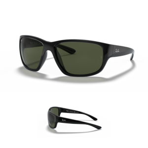 Branches Ray-Ban 4300 Originaux
