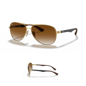 Branches Ray-Ban 8313 Originaux
