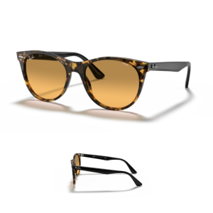 Branches Ray-Ban 2185 WAYFARER II Originaux