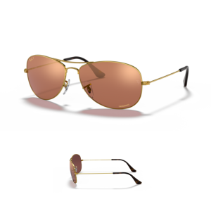 Branches-Ray-Ban 3562 Originaux