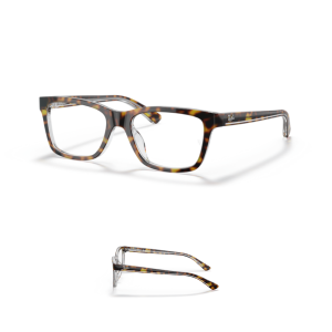 Branches-Ray-Ban 1536 Originaux
