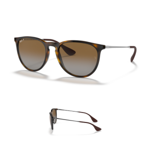 Branches Ray-Ban 4171 Erika Originaux