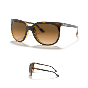 Branches-Ray-Ban 4126 Originaux