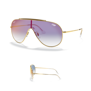 Branches Ray-Ban 3597 WINGS Originaux
