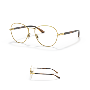 Branches Ray-Ban vue 6470 Originaux