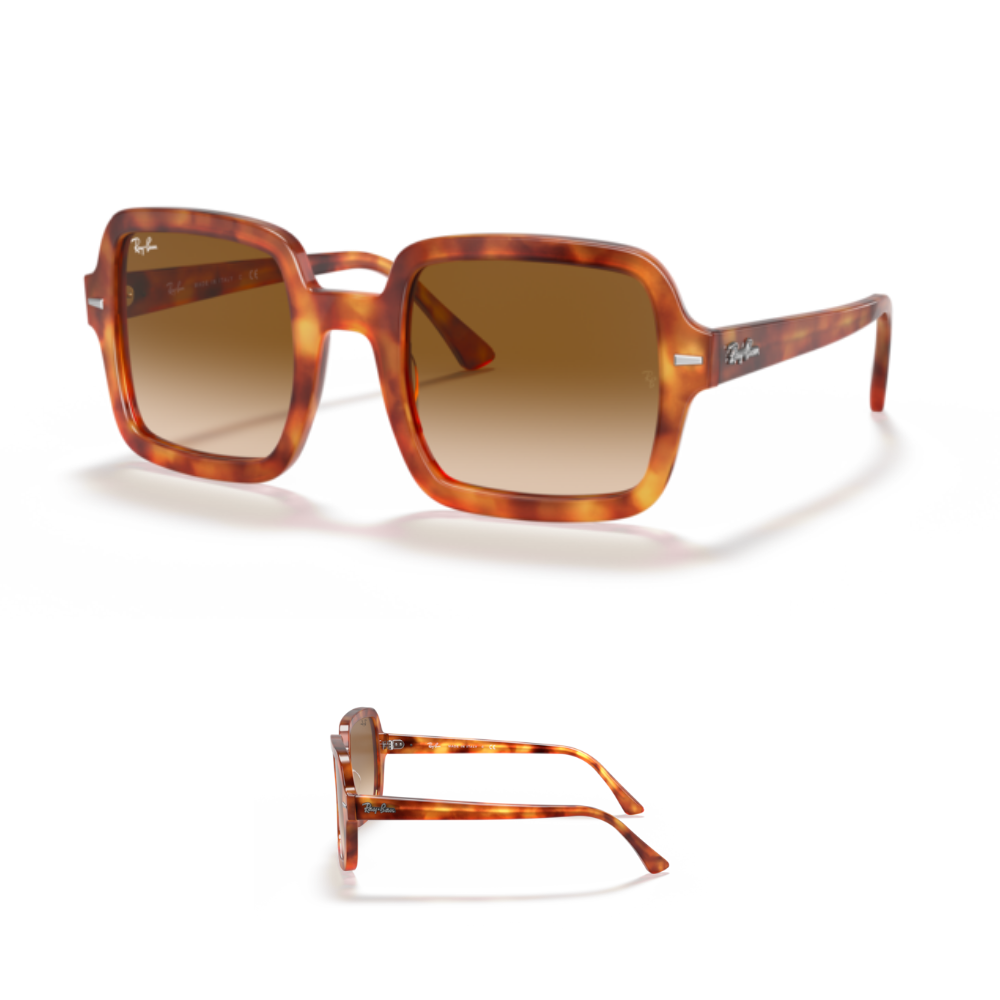 Branches Ray-Ban 2188 Originaux