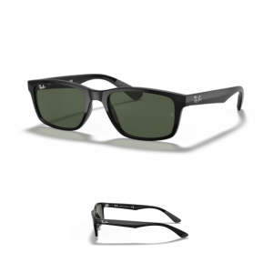 Branches Ray-Ban 4234 Originaux