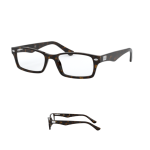 Branches Ray-Ban vue 5206 Originaux