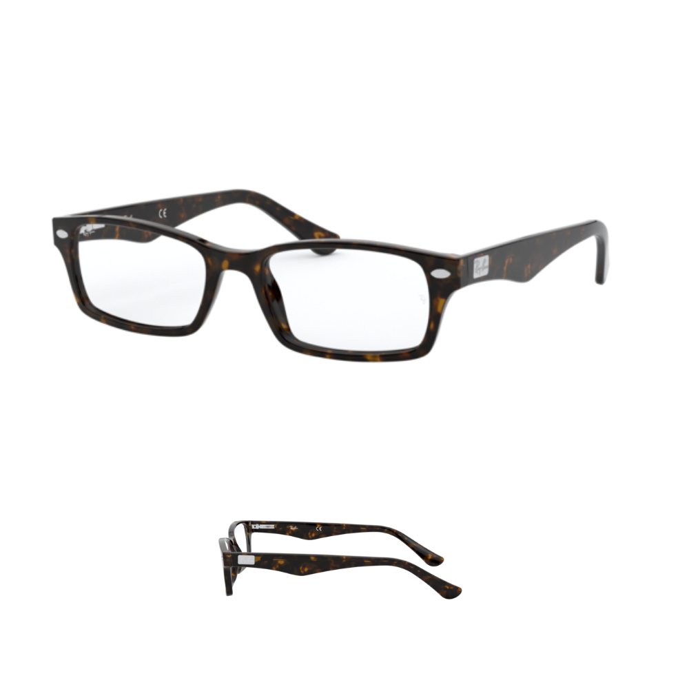 Branches Ray-Ban vue 5206 Originaux
