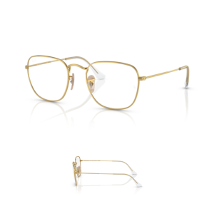 Branches Ray-Ban 3857 Frank Originaux