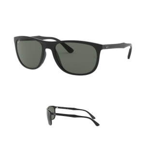 Branches Ray-Ban 4291 Originaux