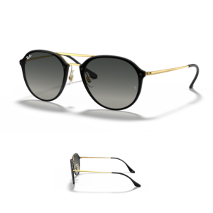 Branches Ray-Ban 4292N Originaux