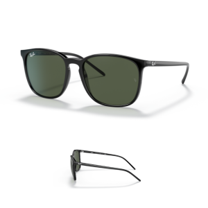 Branches Ray-Ban 4387 Originaux