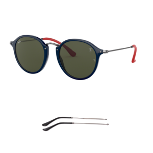 Branches Compatibles Ray-Ban 2447NM