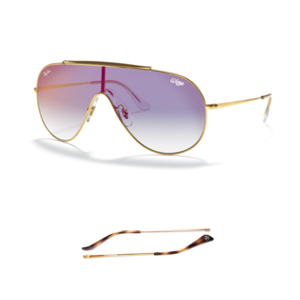 Branches Compatibles Ray-Ban 3597 Wings