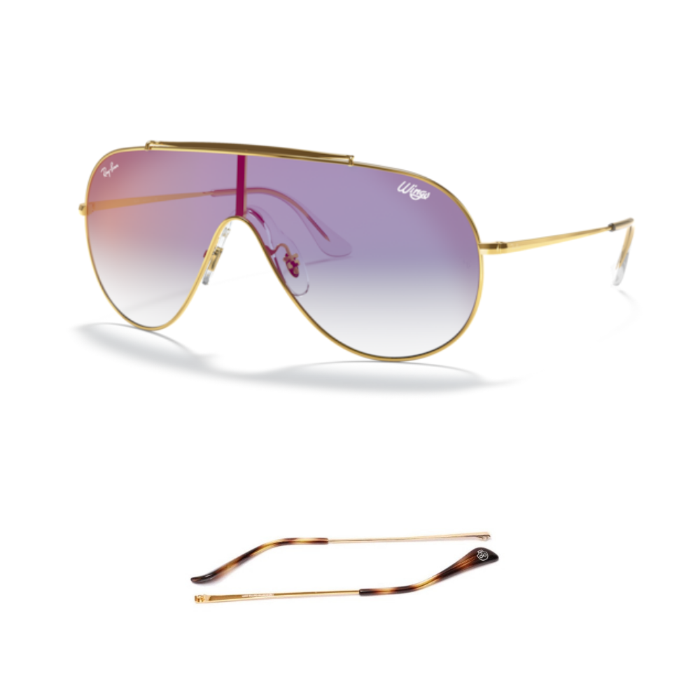 Branches Compatibles Ray-Ban 3597 Wings