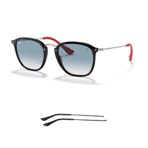 Branches Compatibles Ray-Ban 2448NM
