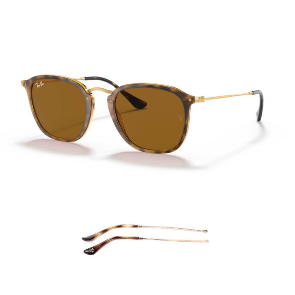 Branches Compatibles Ray-Ban 2448N
