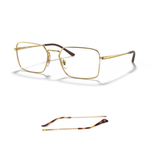 Branches Compatibles Ray-Ban 6440