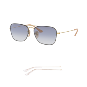 Branches Compatibles Ray-Ban 3603