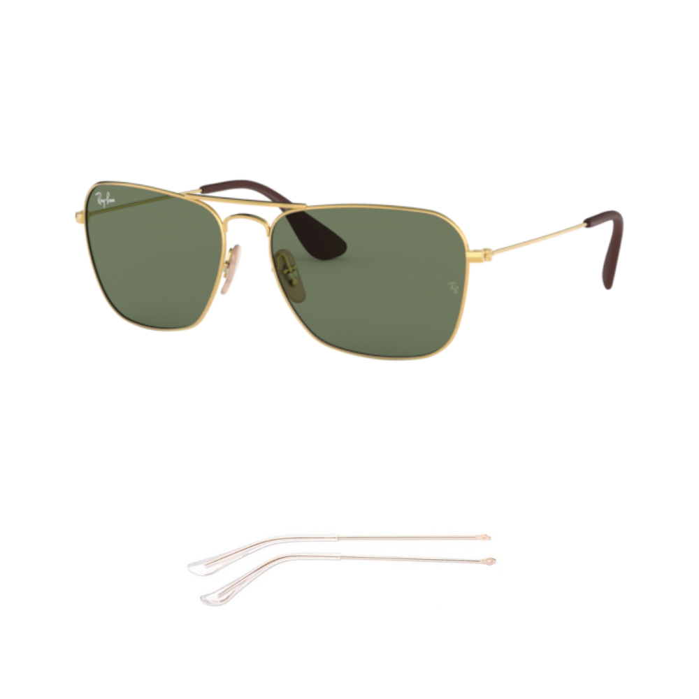 Branches Compatibles Ray-Ban 3610